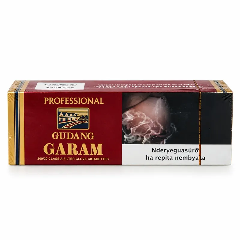 TABACCO GUDANG G CRAVO CANELA 20