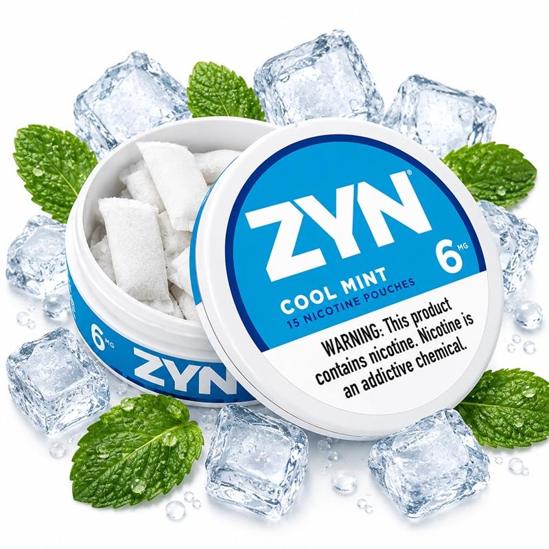 NICOTINE ZYN COOL MINT 6MG